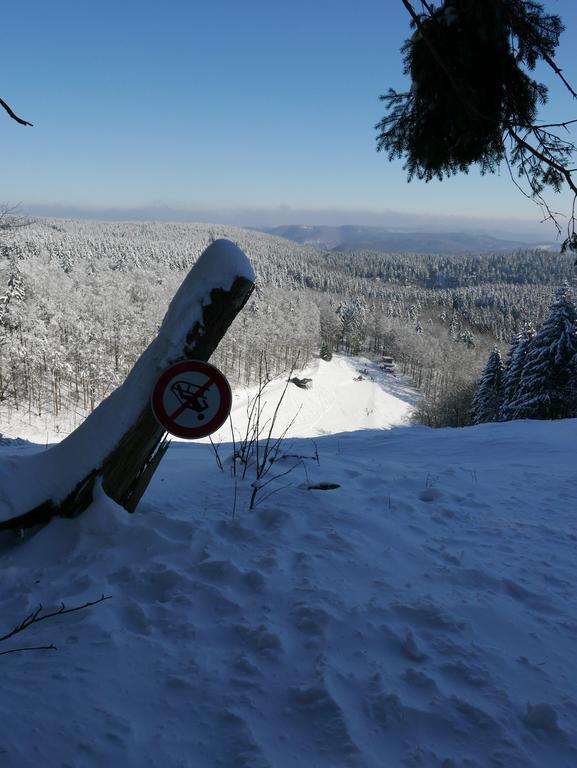 Casa Meloni Lägenhet Bad Sachsa Rum bild
